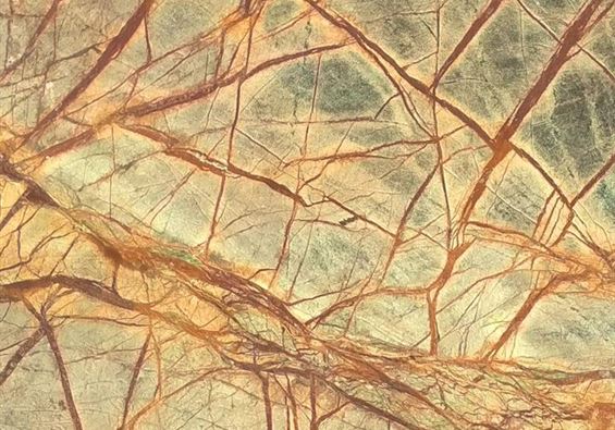 Rain Forest Multicolor