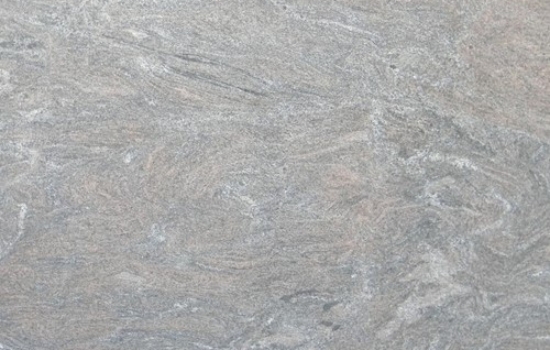 PARADISSO CLASSICO Pil-2076 CLOSE UP