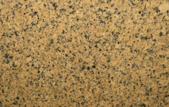 Panther Yellow