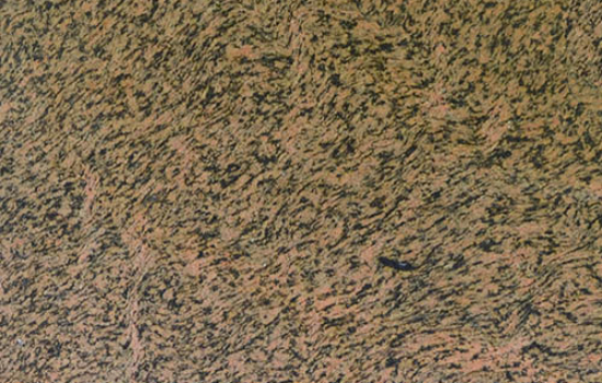 tiger-skin-g